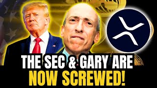 XRP Holders The SEC Is Officially SCREWED Ripple vs SEC [upl. by Eelyma]