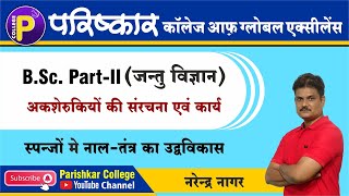 Evolution of land system in Sponges  Zoology  BSc Part 2  Best BSc College In Rajasthan [upl. by Nich758]