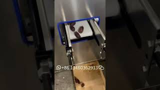 Professional Cherry Apricot Pit Stone Removing Machine Plum Jujube Date Pitting Pitting Machine [upl. by Hedy]