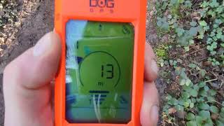 DogTrace X20 GPS Initial review amp 1st test [upl. by Saltsman]