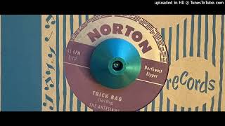 The Artesians  Trick Bag Norton Reissued 2003 [upl. by Rinee623]