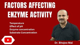 Factors affecting Enzyme activity  Class 11 biology  by Dr Bhojoo Mal [upl. by Micky]