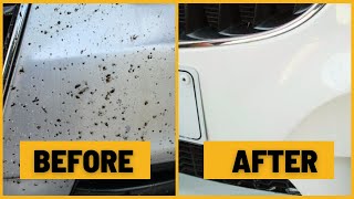 Best Auto Bug Removers  Keeping Your Vehicles Finish Spotless [upl. by Kape816]