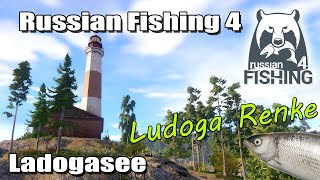 Russian Fishing 4 ★ Ludoga Renken Spot an der Brücke  Ladoga See  RF4 Deutsch [upl. by Thorne469]