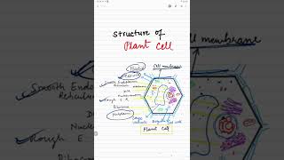 Ultrastructure of Plant 🪴🍀 Cell 🍁🌳🌴 [upl. by Tracy]