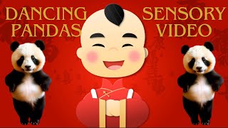 Grumpy Granny Presents Her First Sensory Video Starring the Dancing Pandas sensory storytime [upl. by Sandell805]