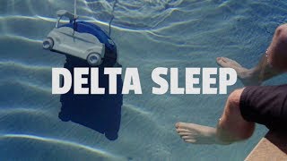 Delta Sleep  Sultans of Ping Intro [upl. by Gow55]