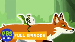 Wild Kratts  Outfoxed  PBS KIDS [upl. by Agnot]