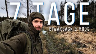 Aufbruch und Alltag in der Wildnis  7 Overnighter  Loadout  Biwak Solo Trekking  Teil 1 [upl. by Ereveniug]