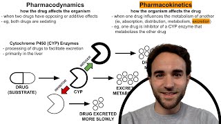 CYP Enzyme Inhibitors amp Inducers Psychotropic DrugDrug Interactions [upl. by Stempien]