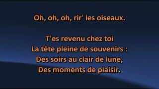 La Compagnie Créole  Ça fait rire les oiseaux  Karaoke  Lyrics [upl. by Erdied323]