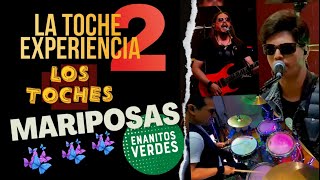 Mariposas  Enanitos Verdes Cover BANDA EN VIVO By Los Toches [upl. by Wakerly]