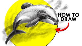 How To Draw A Hectors Dolphin [upl. by Dick]