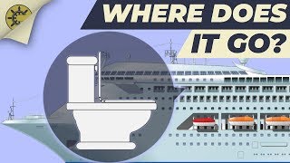 What happens after you flush the toilet on a cruise ship [upl. by Aloek]