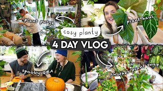 Plant Purge HAUL  4 Days of Cosy Plant Chores [upl. by Irbmac351]