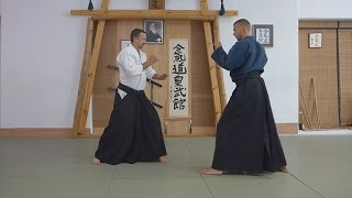 Aikido  Punch and Kicks defense [upl. by Najib477]