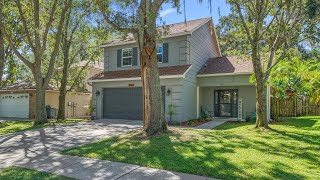 3674 Fremantle Dr Palm Harbor FL [upl. by Hilario775]