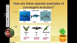 Biology  Convergent Divergent Coevolution and Adaptive Radiation [upl. by Sualkin140]