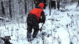 Public Land Still Hunting Tips For Deer In Hardwoods [upl. by Ney27]