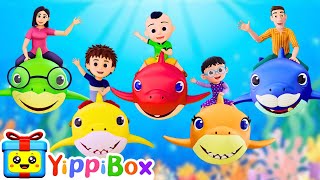 Baby Shark 👶🐟 Play Version  Baby Shark Dance  YippiBox Nursery Rhymes and Baby Songs [upl. by Jermyn500]