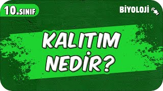 Kalıtım Nedir Kalıtsal Kavramlar  10Sınıf Biyoloji 2025 [upl. by Mareld]