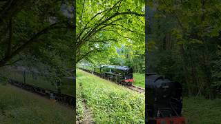 Steam Train 34059 Sir Archibald Sinclair produces a loud 3 cylinder beat [upl. by Nairehs191]