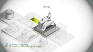 Native and modified starch process [upl. by Neyugn]