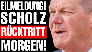 💥EILMELDUNG ALTPARTEIEN ZERSTÖREN SCHOLZ  AfD EXPLODIERT MASSIV💥 [upl. by Atinna]