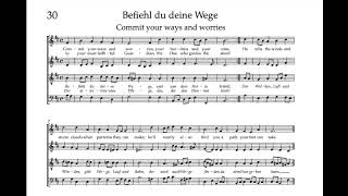 Bach Hymnbook 30 Befiehl du deine Wege [upl. by Hpesoy]