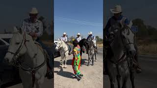 aguascalientes caballos cumbia [upl. by Alliuqa]