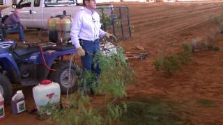 Brush Busters 2009  Mesquite  Spray Technique [upl. by Misty]