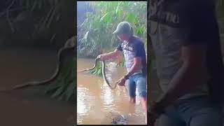 Menangkap ular di sungai snake [upl. by Oiraved86]