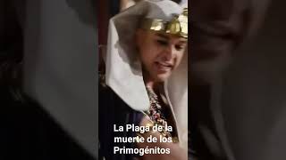 La Plaga de la muerte de los Primogénitos [upl. by Aihpos]