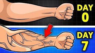 Intense 5 Minute Forearm Workout  Get Veiny Arms [upl. by Lesslie984]