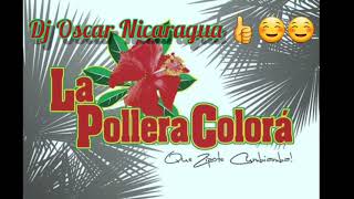 Aniceto Molina  La Pollera Colorada Remix Intro 👍 [upl. by Dedric488]