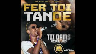 Tii Dams  FER TOI TANDE Audio [upl. by Armbrecht]