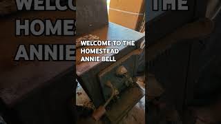 CAST IRON WOOD STOVE NAMED ANNIE BELL HAS OFFICIALLY JOINED THE FAMILY [upl. by Elburt]