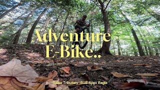 Salsa Tributary  Adventure Touring EBike REVIEW [upl. by Twitt]