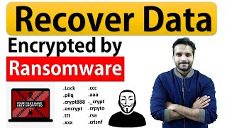 How to recover data encrypted by Ransomware How to decrypt encrypted files [upl. by Kauffman909]