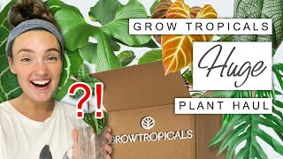 WISHLIST Plant Unboxing 🌿 Huge Grow Tropicals Houseplant Haul 2023 [upl. by Aneele544]