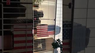 September 11 2020 FDNY PIPES AND DRUMS BAND nevergiveup fire fdny war love peace trump [upl. by Eahsat124]