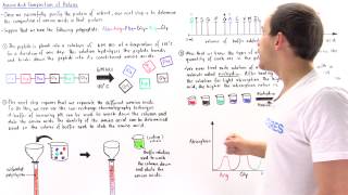 Determination of Amino Acid Composition [upl. by Atnoled]