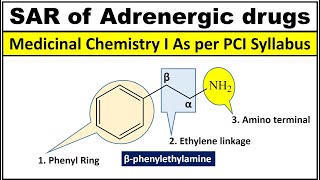 SAR of Adrenergic Drugs SAR of Sympathomimetic Drugs [upl. by Euqinim947]