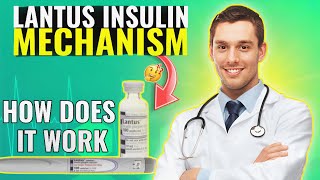 Lantus Insulin Mechanism of Action How Does It Work [upl. by Laurel]