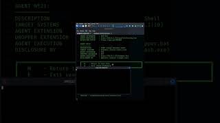 Venom framework  Kali linux tutorial [upl. by Manouch290]