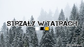 Strzały w tatrach Polish Wolgostanian Rap song history music viral viralvideo rap [upl. by Guinna569]