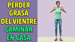 Entrenamiento de 35 Minutos para Quemar Grasa del Vientre  Caminata en Casa [upl. by Alahcim]