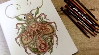 INSECTIMAGINARY by Susan Carlson  Faber Castell Polychromos  color along [upl. by Yelkcub]