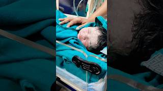 kitna pyara hai ye chehranewbornbaby trendingshortsviralvideo [upl. by Mullac]