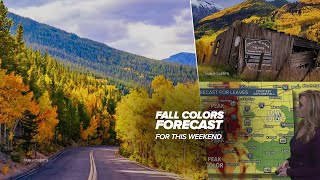 Colorado fall foliage outlook this weekend Where to see peak colors  Updated September 28 [upl. by Cedell]